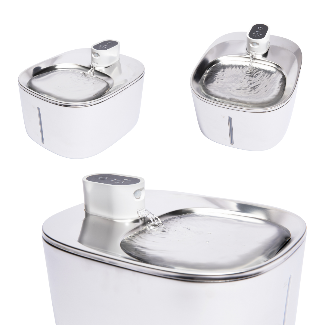 KittySpout™ - Kabelloser Katzenbrunnen für frisches Wasser